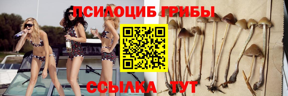 Псилоцибиновые грибы мухоморы Югорск