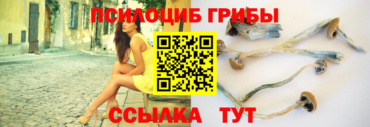 купить наркоту  Галлюциногенные грибы GOLDEN TEACHER  Вход с VPN  Псилоцибиновые грибы GOLDEN TEACHER  Югорск 